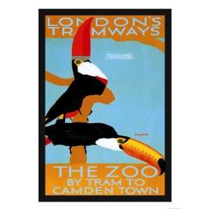   Zoo South American Toucans Giclee Poster Print by Tony Castle, 24x32