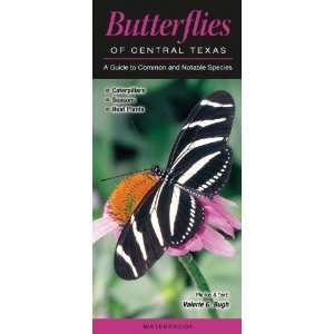  Butterflies of Central Texas A Guide to Common and 
