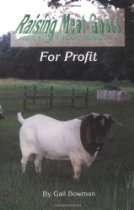 KY Sheep and Goat Development Office   Raising Meat Goats for Profit