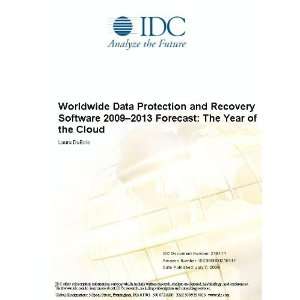  Worldwide Data Protection and Recovery Software 2009 2013 
