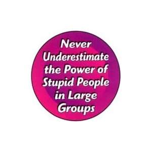 Never Underestimate the Power of Stupid People in Large Groups PINBACK 