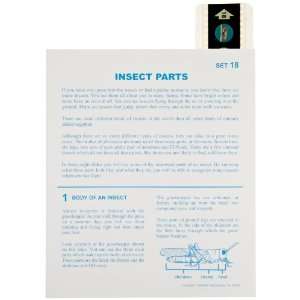   Parts Lesson Plan Set (Box of 10)  Industrial & Scientific