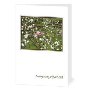  Sympathy Greeting Cards   Natures Comfort By Magnolia 