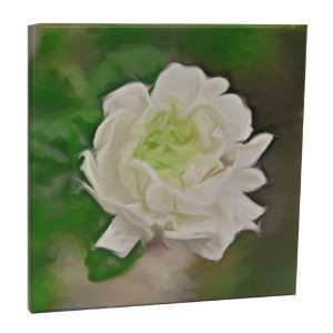 Your photo on an 11 x 11 5/8 gallery wrap canvas frame:  