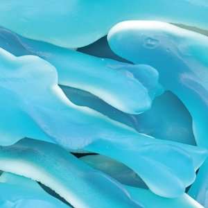 Gummallos Blue Gummy Sharks 5LB Case Grocery & Gourmet Food