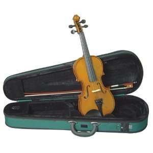   Violin Outfits VN2044 Electric Violin, Amber Musical Instruments