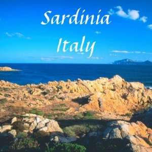  Sardinia Italy Travel Souvenir Fridge Magnet: Home 