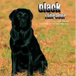  Black Labradors 2013 Wall Calendar: Office Products