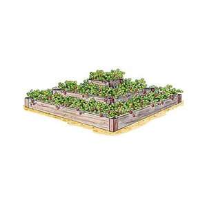  3 Tier Strawberry Bed: Patio, Lawn & Garden