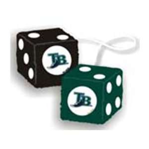  Dice Danglers   Tampa Bay Devil Rays Automotive