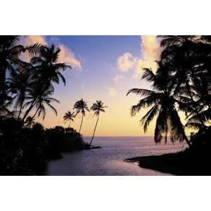  Hikkaduwa Beach Palms Paradise PAPER POSTER measures 36 x 