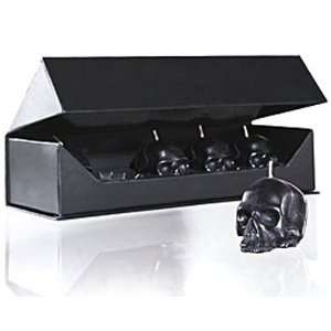  D. L. & Co. Momento Mori Skull Candle Boxed Set of 5: Home 