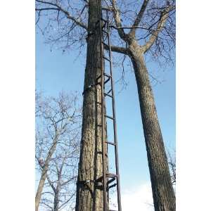    Rivers Edge 5 Trophy Tree Ladder Extension: Sports & Outdoors