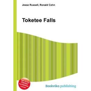 Toketee Falls [Paperback]