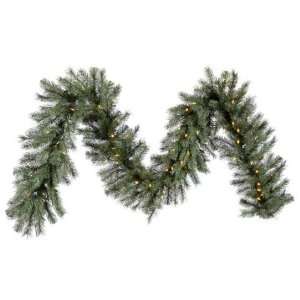  Blue Albany Spruce Garland: Home & Kitchen