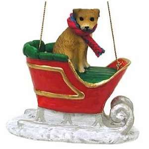  Border Terrier in a Sleigh Christmas Ornament: Home 
