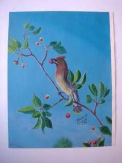 Robert Gossel Original Painting Jay Bird Eating Cherry  