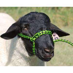  Poly Rope Sheep Halter   Lime/Black