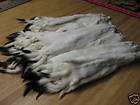 Tanned White Ermine Hides/Fur CoatsTrapping/​Furs
