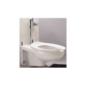 Zurn Z5616.213 Chrome EcoVantage Elongated Toilet System with Bedpan 