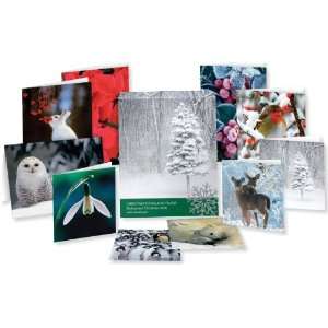  20 ECO FRIENDLY BOXED CHRISTMAS CARDS: Home & Kitchen