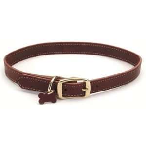   Too! Latigo 26 Leather Perimeter Stitch Dog Collar: Pet Supplies