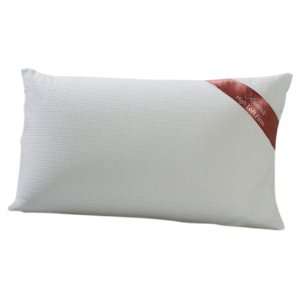  Rejuvenite Restora Queen Pillow Queen: Home & Kitchen