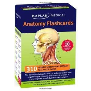  Anatomy Flashcards [Cards]: Stephanie Mccann: Books
