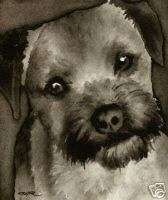 BORDER TERRIER Watercolor Dog ART Signed by Artist DJR  