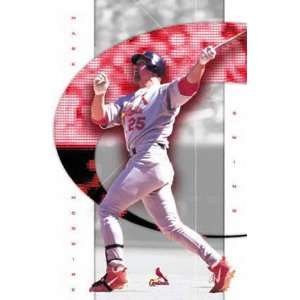  Mark McGwire St. Louis Cardinals Poster 3024: Sports 