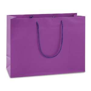   10 Boutique Purple Matte Laminate Bags