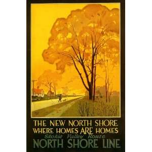   HOMES NEW NORTH SHORE LINE CHICAGO ILLINOIS SMALL VINTAGE POSTER REPRO