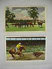PAIR VINTAGE COLOR POSTCARDS KENTUCKY HORSES GRAZING RODEO CALF ROPING
