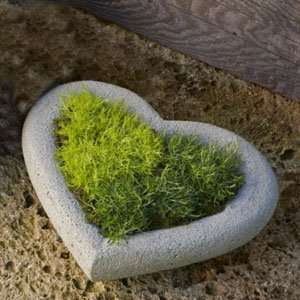  Campania Cast Stone   Nyssa Planter   Natural: Patio, Lawn 