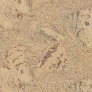  APC Cork Cremes Odysseus Creme Cork Flooring: Home 