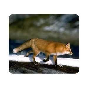  Fox Mousepad: Office Products