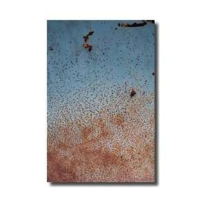  Rust On Antique Car 2 Giclee Print