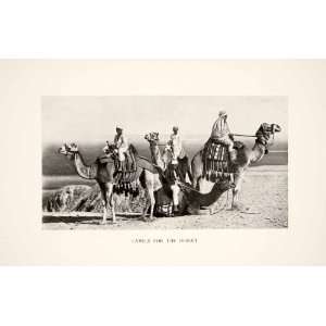 1897 Print Egypt Camel Caravan Desert Travel Transportation Historic 