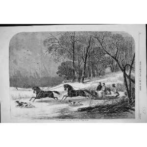  1863 CARIBOU HUNTING NEW BRUNSWICK HORSES HOUNDS SLEIGH 