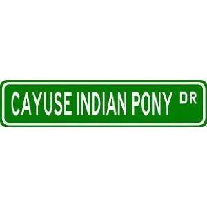  CAYUSE INDIAN PONY Street Sign ~ Custom Street Sign 