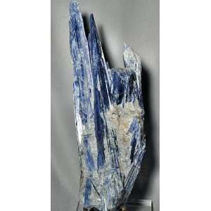  Kyanite Natural Crystal Specimen With Quartz   Barro Do 