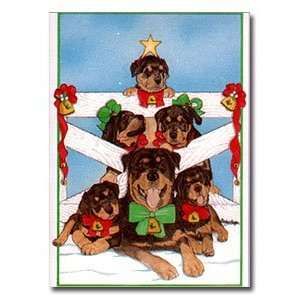  Rottweiler Wishes Gift Enclosure Cards   Set of 5: Health 