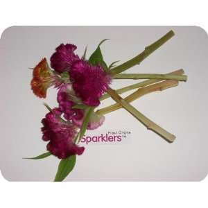 Edible Flower   Sparklers   4 x 50 Count Grocery & Gourmet Food