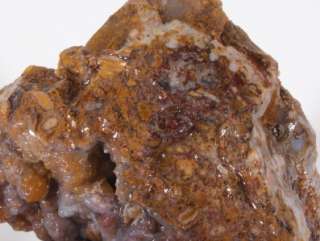 GORGEOUS Mexico SONORA SAGENITE AGATE lapidary rough 1 lb 3 oz  