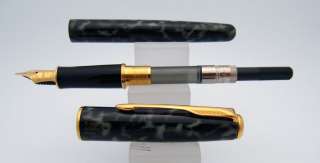 Parker Sonnet Fountain Pen  Moonbeam Marbled Lacquer  18k Medium Nib 