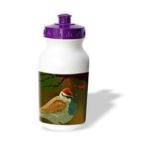 SmudgeArt Bird Art Designs   Chirping Sparrow   Water Bottles  