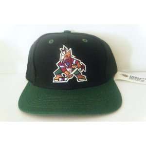    Phoenix Coyotes NEW Vintage Snapback Hat