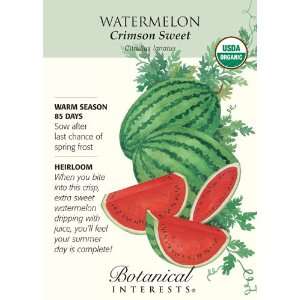  Crimson Sweet Watermelon Seeds   1.5 grams   Organic 