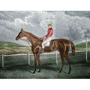   HR Horse Racing Steeple Chasing Engraving Intaglio: Home & Kitchen