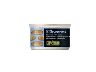 EXO TERRA 2.4 OZ SILKWORM INSECT CANNED REPTILE FOOD  